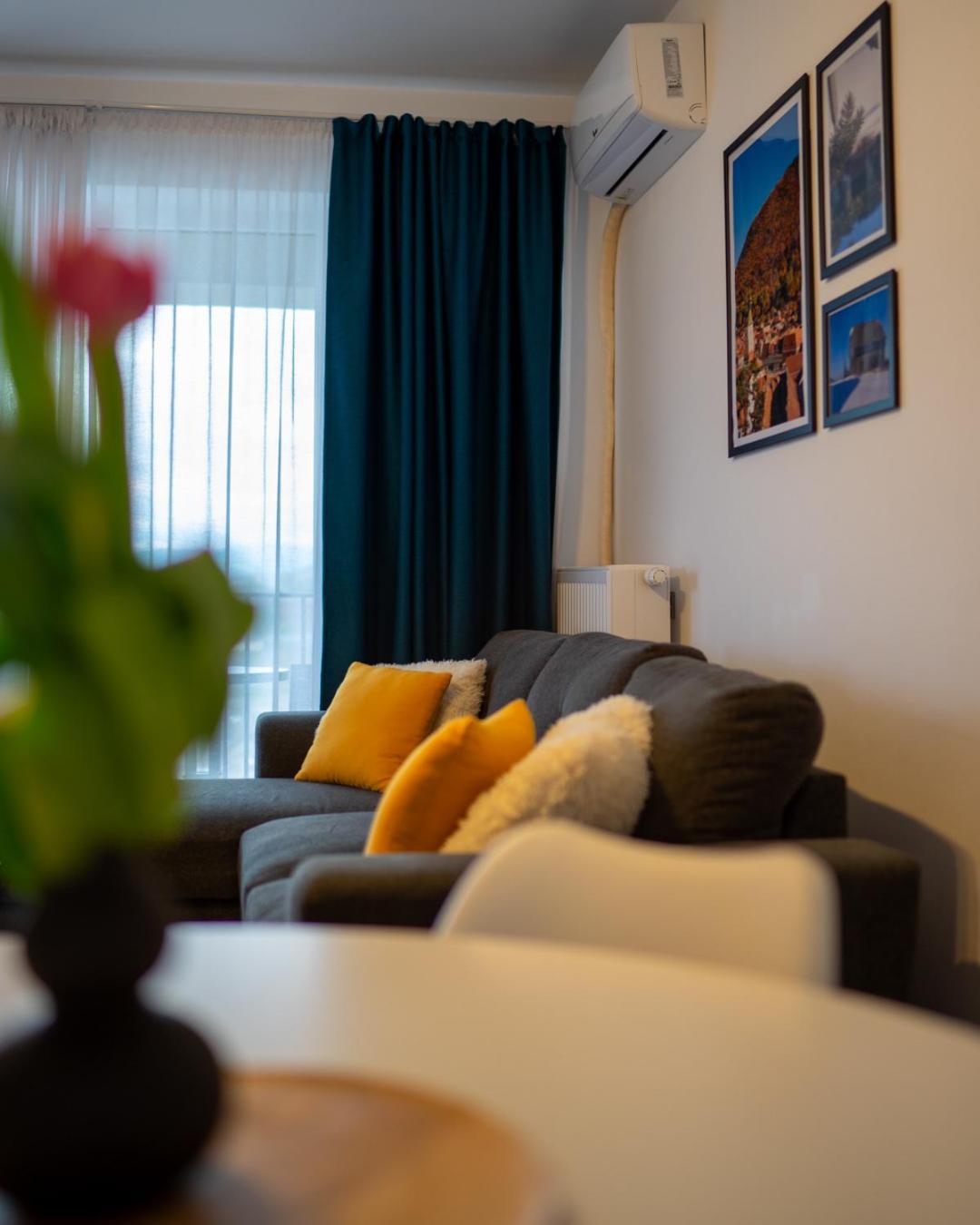 Apartment Alina Coresi